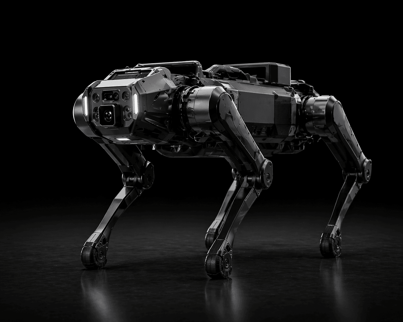 Multi-Purpose Robot Dog. Engineered for Utility, Security & Interaction